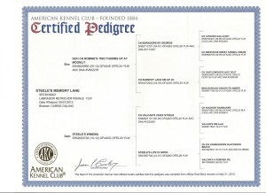 Laineypedigree
